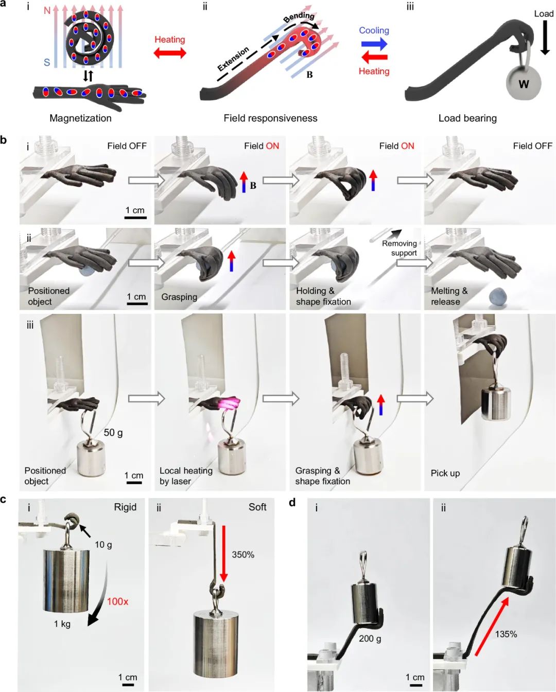 超越生物肌肉！韩澳科研团队联合提出人造软磁性肌肉，让机器人‘动’出新高度”！(图5)